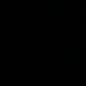 Meet your Posher, Esme